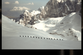 Schegge - Dolomiti di Brenta (TN)