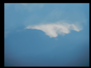 O12