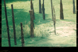 Memoria - Concorezzo (MB)
