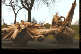 Scarti di memoria - Sitran D'Alpago (BL)