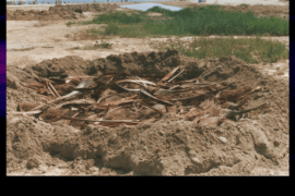 Cimitero una sera d'estate - San Benedetto del Tronto (AP)