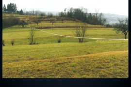 Linea - Sitran D'Alpago (BL)