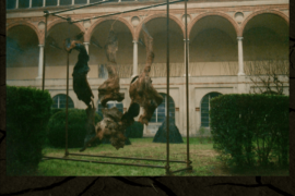 Scorze - (Milano)