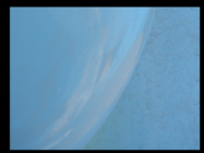 O29