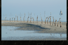 Scarti di Memoria - Lido di Volano (FE)