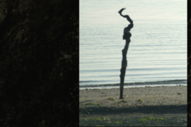 Scarti di Memoria - Lido di Volano (FE)