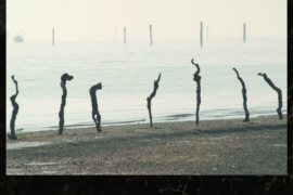 Scarti di Memoria - Lido di Volano (FE)