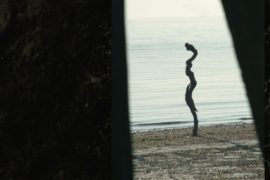Scarti di Memoria - Lido di Volano (FE)
