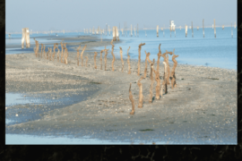 Scarti di Memoria - Lido di Volano (FE)