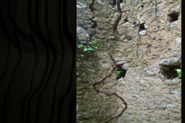 la Casa dei Serpenti - Erve (LC)