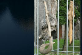 Anime in attesa - (Belluno)