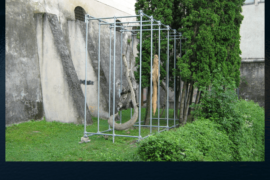 Anime in attesa - (Belluno)