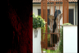 Partigiano Carlo - Vimercate (MB)