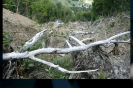 Per Non Dimenticare - Fanano (MO)