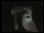 O4