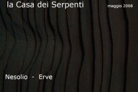 Diapositiva403