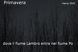 Diapositiva446