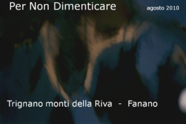 Diapositiva462