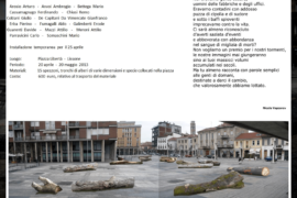Noi Quindici - Lissone (MB)