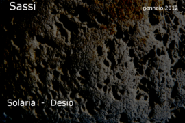 Diapositiva519