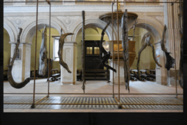 Dialoghi - Vimercate (MB)