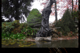Sebastiano - Omate (MB)
