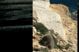 Luogo del Sacrificio - Lampedusa (AG)