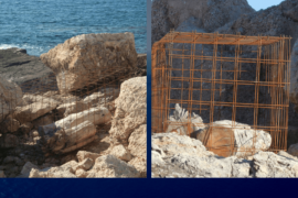 Due Angeli - Lampedusa (AG)