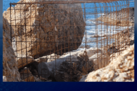 Due Angeli - Lampedusa (AG)