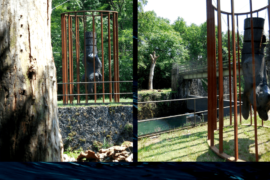 Dialogo - Porto d'Adda (MB)