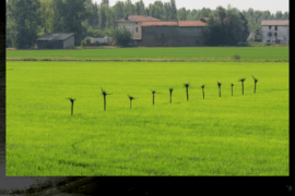 noi Undici - Rovasenda (VC)