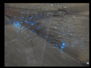 O64