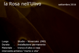 La Rosa nell'Ulivo - Vimercate (MB)