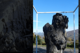 il Castagno nel Cubo - Fanano (MO)