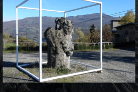 il Castagno nel Cubo - Fanano (MO)