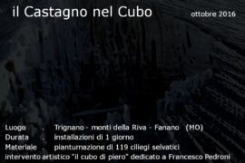 Il Castagno nel Cubo - Fanano (MO)