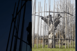 Selvatico - Vimercate (MB)