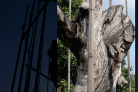 Selvatico - Vimercate (MB)