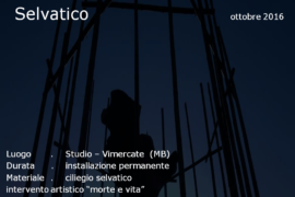 Selvatico - Vimercate (MB)