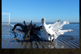Bianco e Nero - Rosolina Mare (RO)