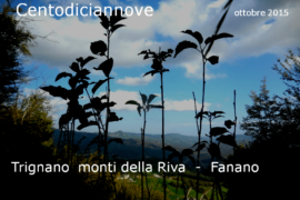 Diapositiva723