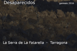 Diapositiva739