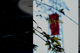 in Memoria - Bernareggio (MB)