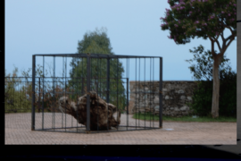 Restiamo Umani - Riace (RC)