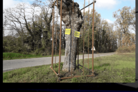 Figlio di Nessuno - Gropparello (PC)