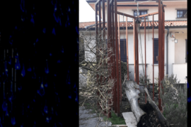 Rinascita - Vimercate (MB)