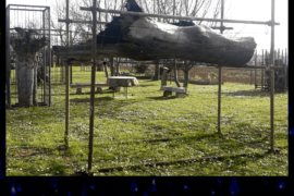 Rinascita - Vimercate (MB)