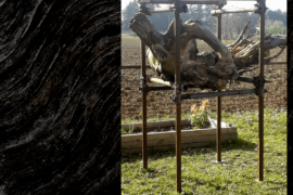 Disertore io - Vimercate (MB)