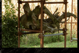 Disertore io - Vimercate (MB)