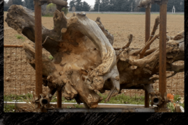 Disertore io - Vimercate (MB)